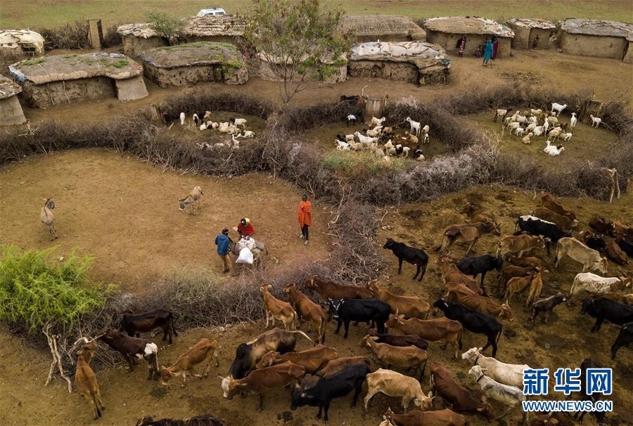 探访马赛族村落