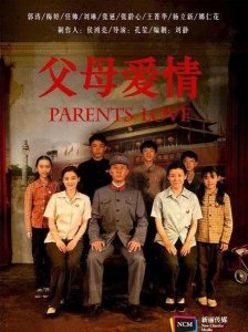 ​电视剧父母爱情的主要演员(电视剧父母爱情的演员表)