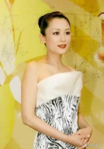 ​陈凯歌的妻子陈红个人资料被曝光，被外界称为小三是怎么回事？