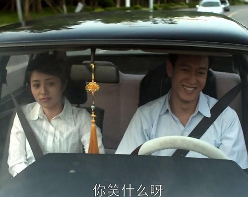 父母爱情王海洋结局