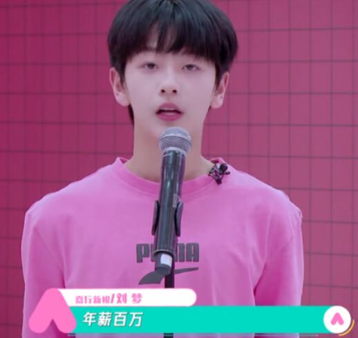 刘梦年薪百万是真的吗 刘梦为什么放弃事业参加选秀