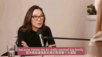 ​杨紫琼谈与潘迪生离婚原因：他希望能有孩子继承家业