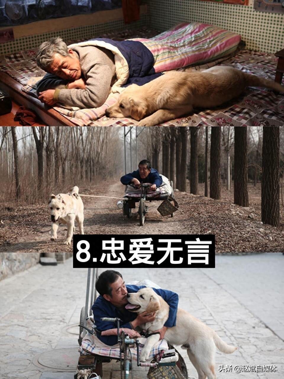 盘点10部超感人哭到无法自拔的电影