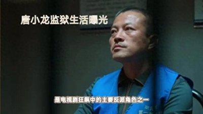 ​唐小龙，原名刀哥，是电视剧《狂飙》中的主要反派角色之一