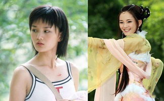 女演员馨子个人资料及近况和图片 馨子整容前后对比照-图1