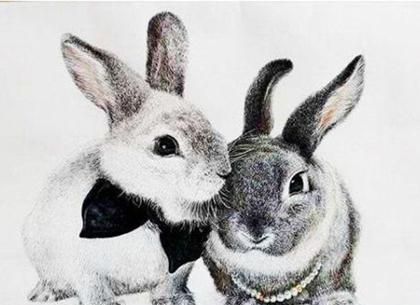 笑逐颜开打一生肖