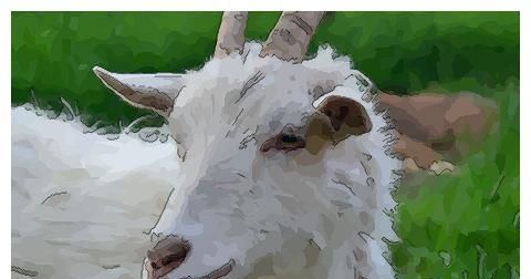 笑逐颜开是指什么生肖