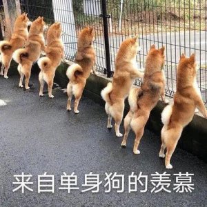 ​不藏了！这对我先嗑为敬