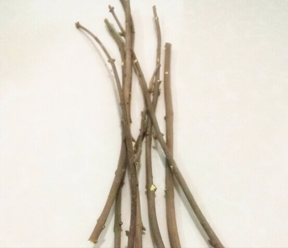 胡歌喜欢什么样的女生(胡歌妈妈为什么喜欢薛佳凝) 胡歌 什么样 第7张