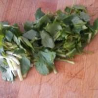 豆腐汤的8种家常做法（清炖豆腐汤的做法步骤）(3)