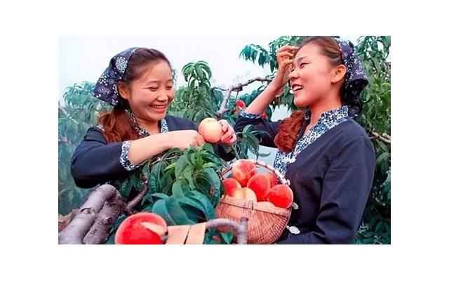 相亲找对象，教你一些相亲的技巧和方法