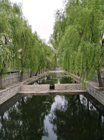 济南泰安曲阜旅游攻略（曲阜最全旅行攻略）(17)