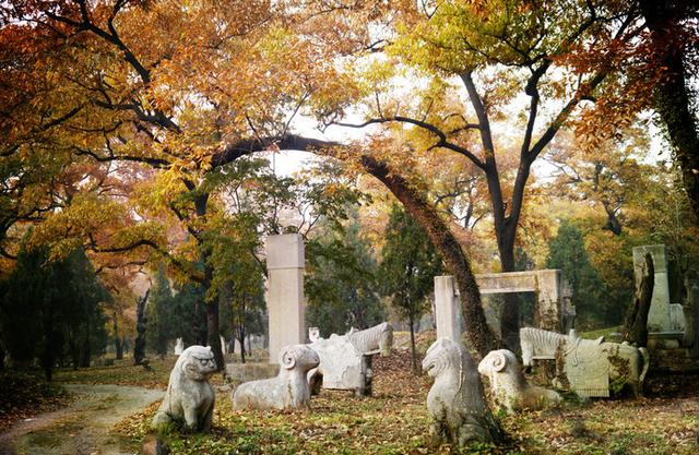 济南泰安曲阜旅游攻略（曲阜最全旅行攻略）(26)