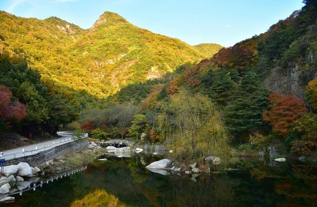 济南泰安曲阜旅游攻略（曲阜最全旅行攻略）(15)