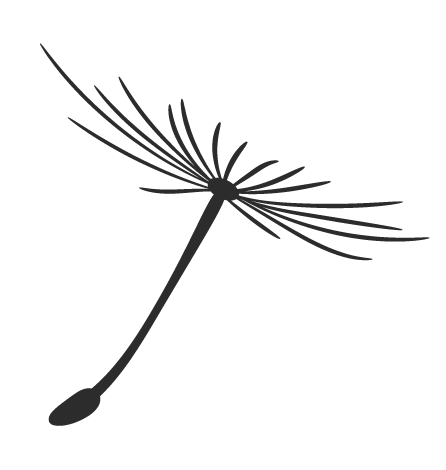 上海知青王安忆简介（与张新颖七次对话）(3)