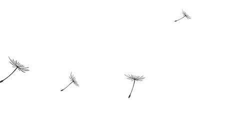 上海知青王安忆简介（与张新颖七次对话）(5)
