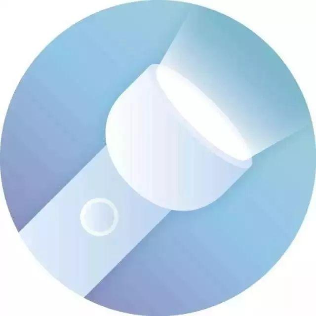 上海知青王安忆简介（与张新颖七次对话）(1)