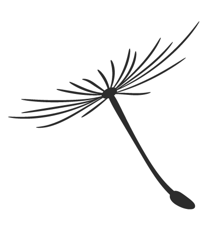 上海知青王安忆简介（与张新颖七次对话）(2)