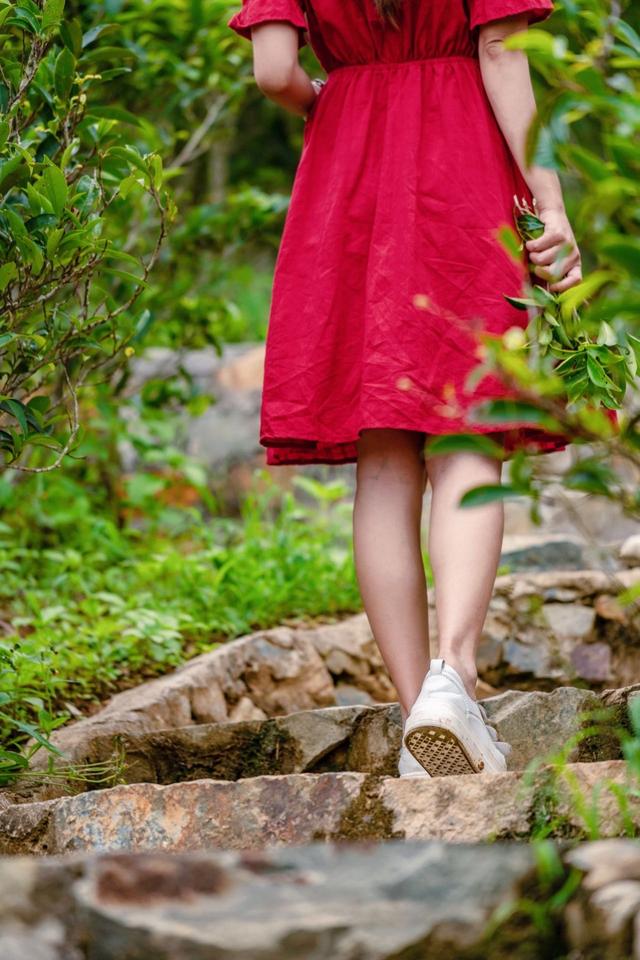 潮州潮安区附近好玩的景点（哪些景点必须打卡）(28)