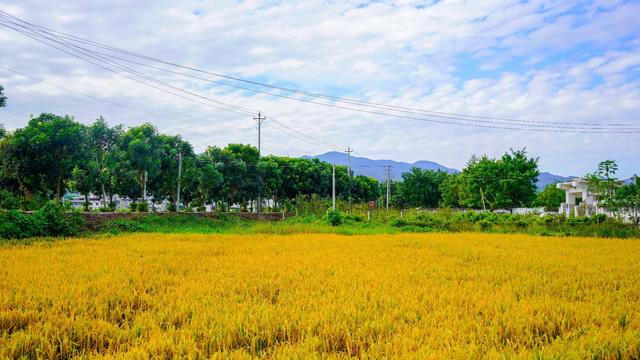 潮州潮安区附近好玩的景点（哪些景点必须打卡）(18)
