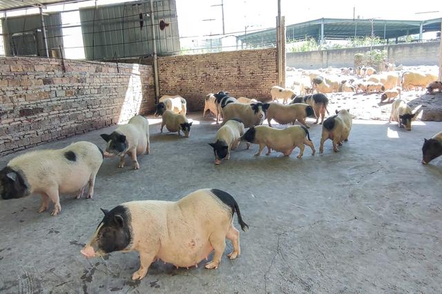 潮州潮安区附近好玩的景点（哪些景点必须打卡）(24)