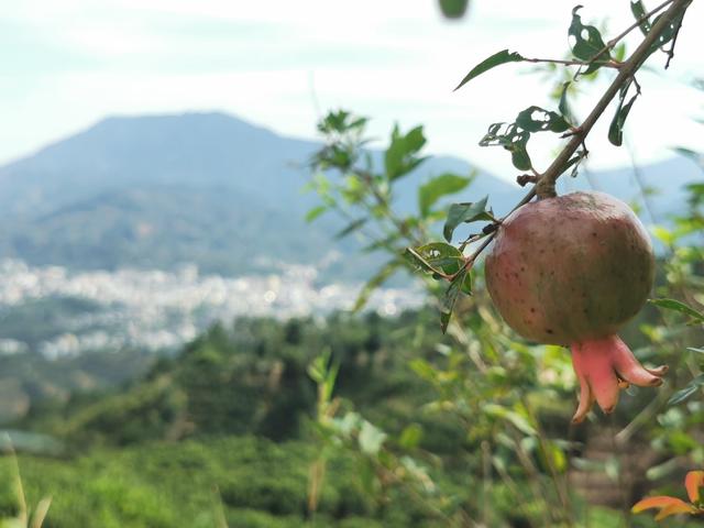 潮州潮安区附近好玩的景点（哪些景点必须打卡）(15)