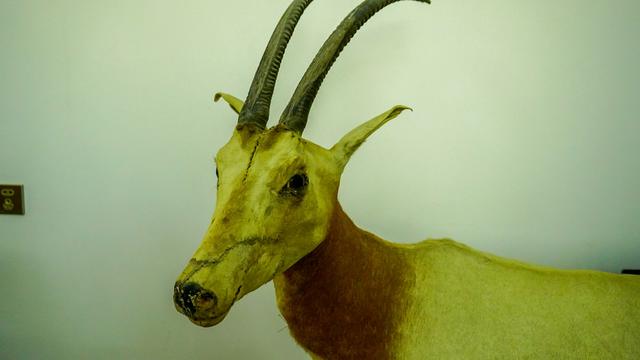 潮州潮安区附近好玩的景点（哪些景点必须打卡）(26)