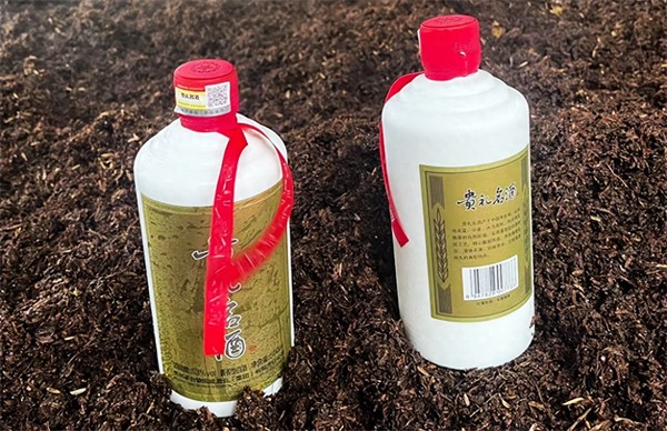 红缨子高粱是什么高粱(红缨子高粱的特点)