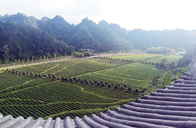 官庄镇属于哪个县(官庄镇有多少人口)