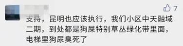限狗令原因（最严限狗令官方回复来了）(4)