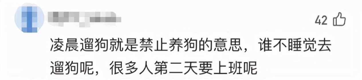 限狗令原因（最严限狗令官方回复来了）(7)