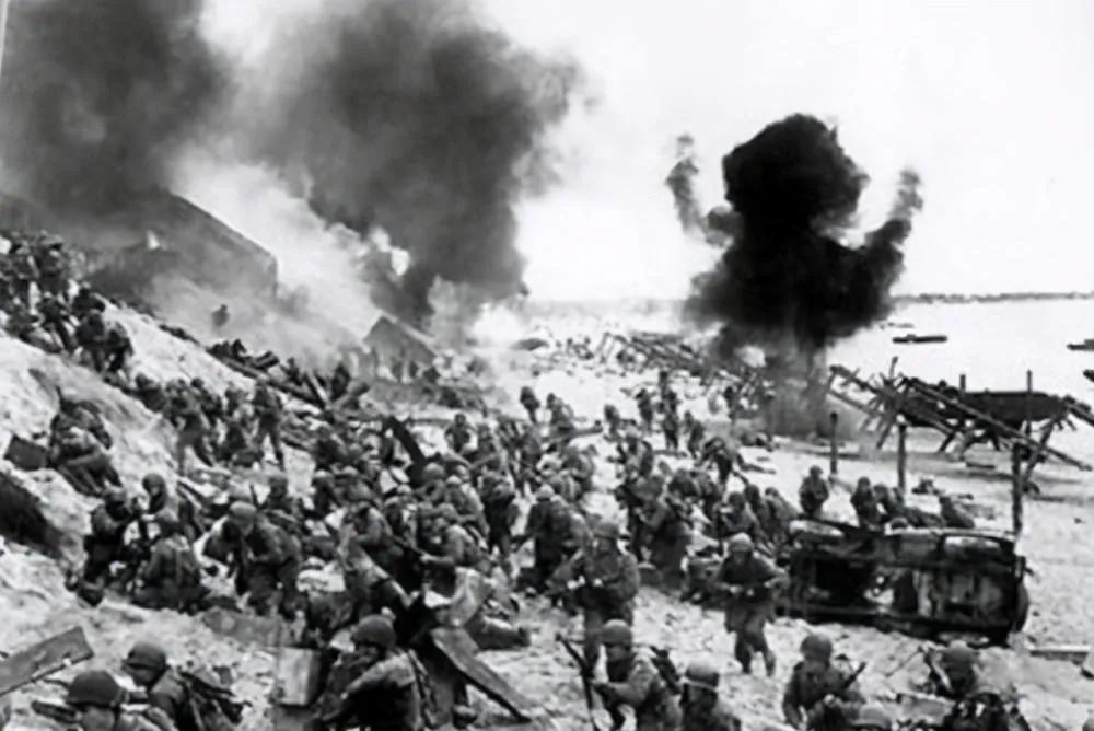 金马岛战役真相(金马岛战役有幸存者吗)