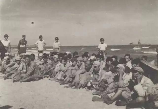 金马岛战役真相(金马岛战役有幸存者吗)