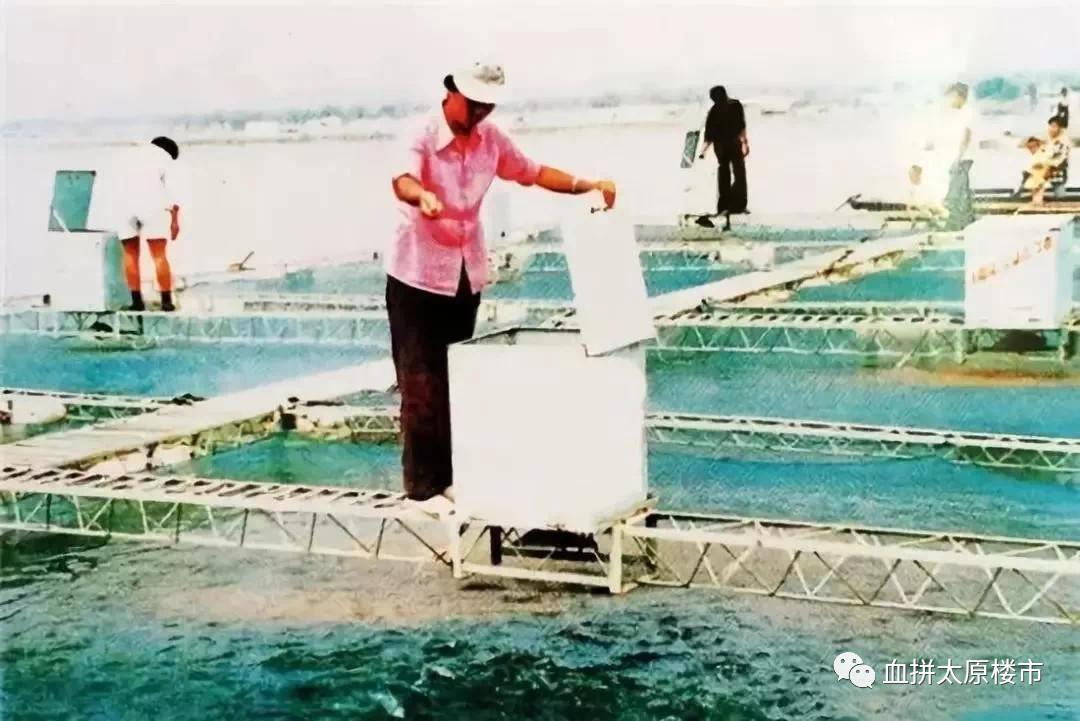 晋阳湖在哪里(太原晋阳湖属于哪个区)