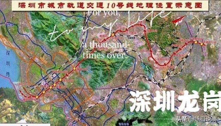 如果要问深圳龙岗人为什么留在龙岗「如果要问深圳龙岗人为什么留在龙岗」