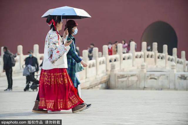 故宫年票和门票有什么区别（终于买到故宫年票）(31)