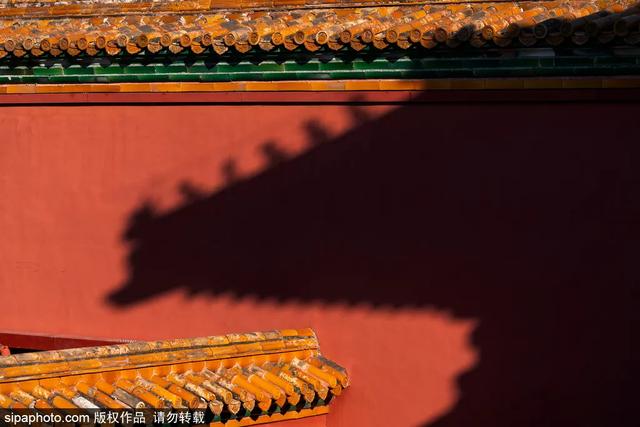 故宫年票和门票有什么区别（终于买到故宫年票）(25)