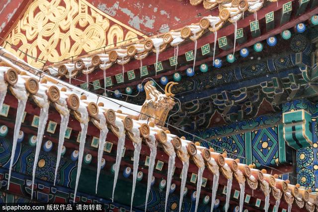 故宫年票和门票有什么区别（终于买到故宫年票）(7)