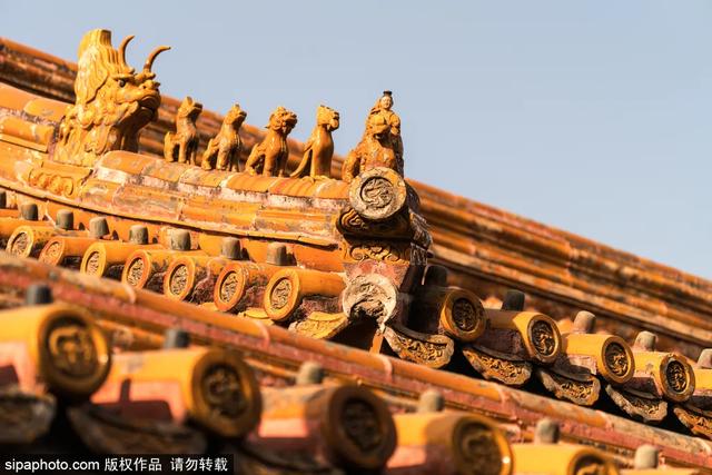 故宫年票和门票有什么区别（终于买到故宫年票）(27)