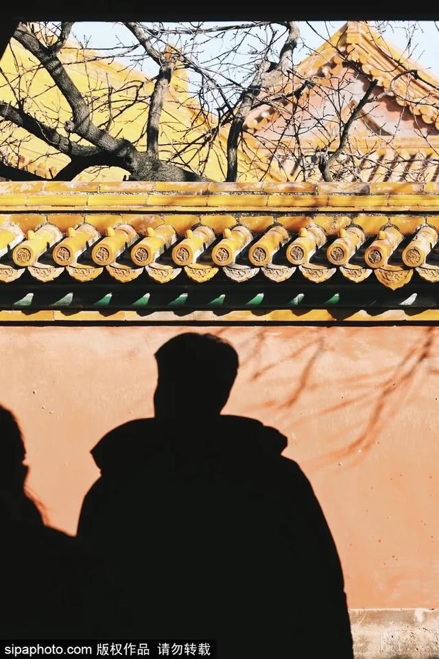 故宫年票和门票有什么区别（终于买到故宫年票）(29)