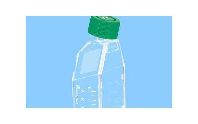 真相揭秘：金牛座男生是否是品德良好的代表？