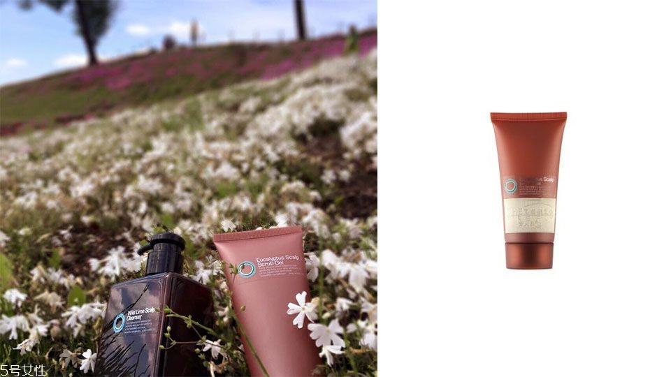 头发油掉发用什么洗发水 推荐5款油头洗发水