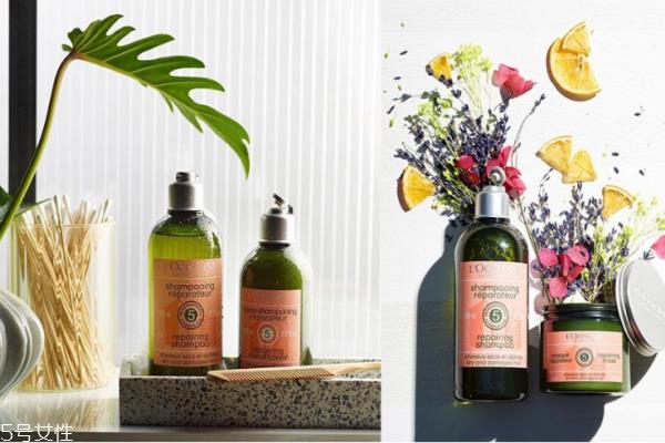 头发油掉发用什么洗发水 推荐5款油头洗发水