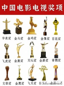 ​中国15大电影电视奖项，看看主流奖项有多少？