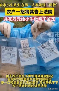 ​福建一农户怀疑邻居偷自家牛，花1万给牛做亲子鉴定，结果悲剧了