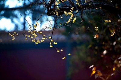 ​《增广贤文》10句流传最广的名言，每一句都很现实