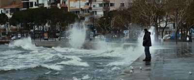 ​“政治正确” 如何试图改变我们的语言和思想