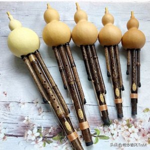 ​从初学者到高手：学习葫芦丝50个经验总结！【句句干货】