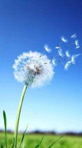 ​今年元月19日提交到”平安是福app”职工诉求的栏目的第二篇文章