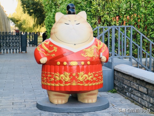 打卡新圣地来啦!北京故宫现巨型“御猫”萌翻众人